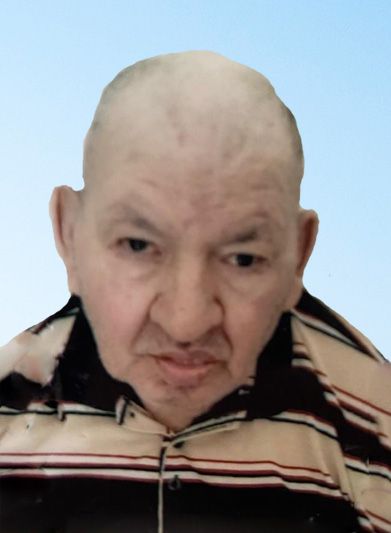 necrologio Domenico Martini