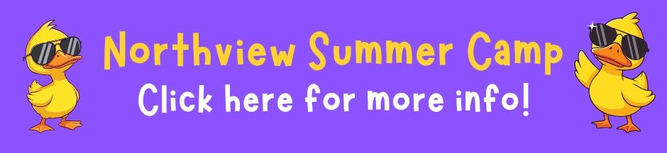 Purple banner for Northview Summer Camp with a yellow duck on each side wearing sunglasses and text to click for info.