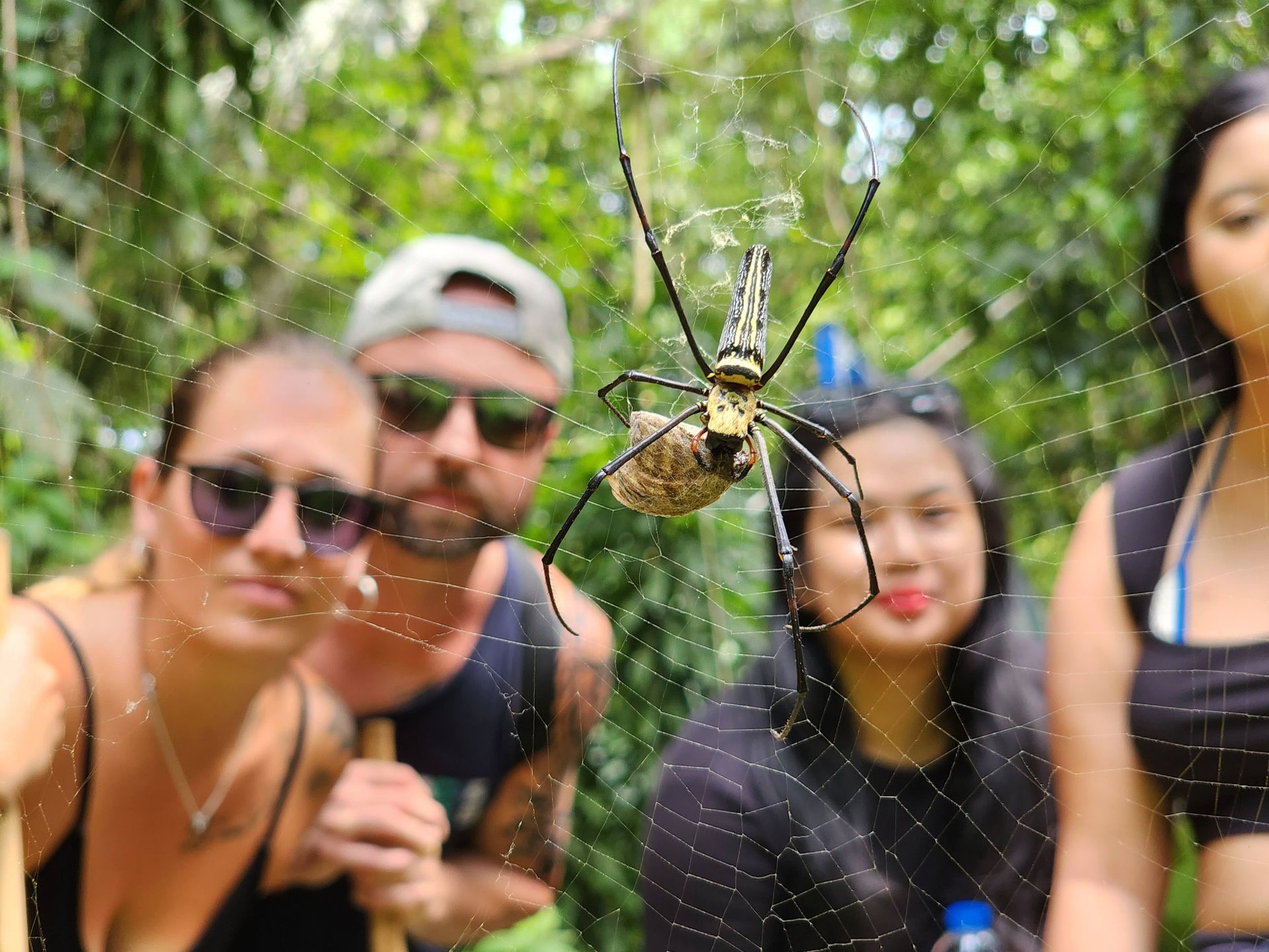 Spider - 4 Waters Eco Adventure by СС's Eco Tours