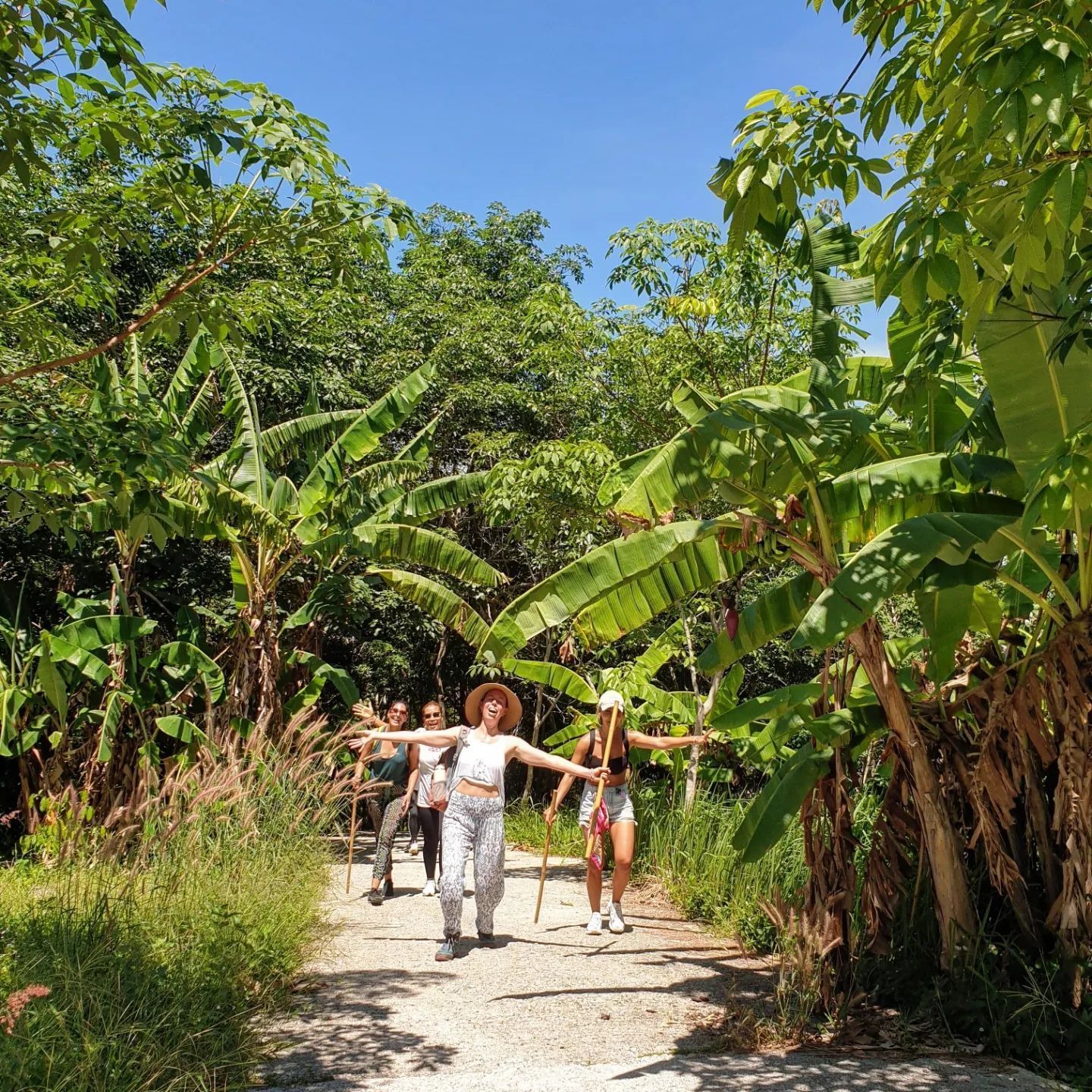 Big Buddha Trekking by CC's Eco Tours
