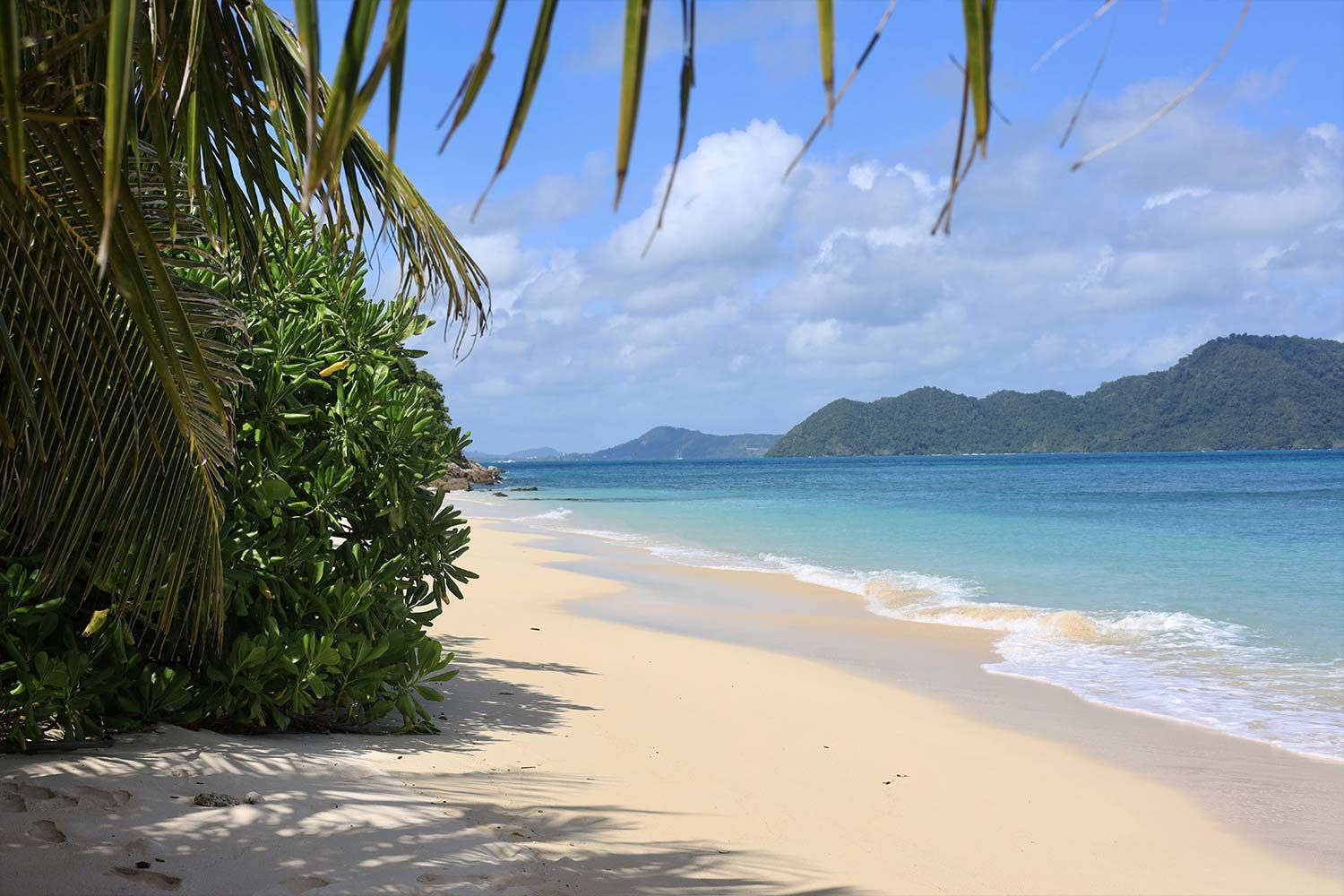 Bon Island Beach - Desert Island Trip by CC's Eco Tours