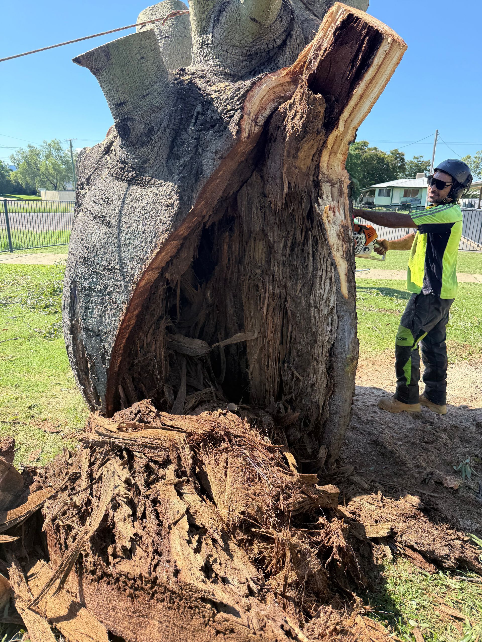 An arborist in high-visibility gear uses a chainsaw to cut a large, severely hollowed-out tree trunk outdoors.