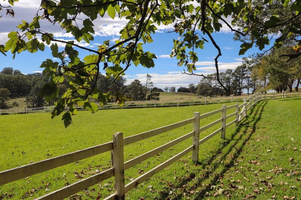 A Wooden Fence Surrounds A Grassy Field With Trees In The Background — Solarblu Pty Ltd In Bowral, NSW