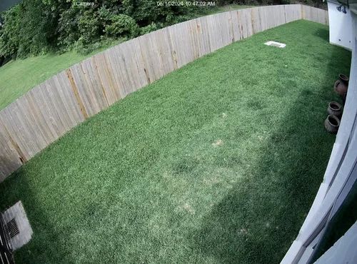 Backyard with green lawn, wooden fence, and a few potted plants by the house.