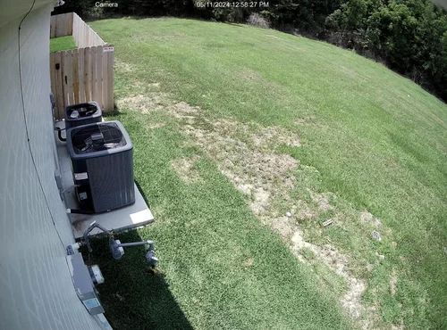 Backyard patio with trash bins beside a house and a wide grassy lawn bordered by trees