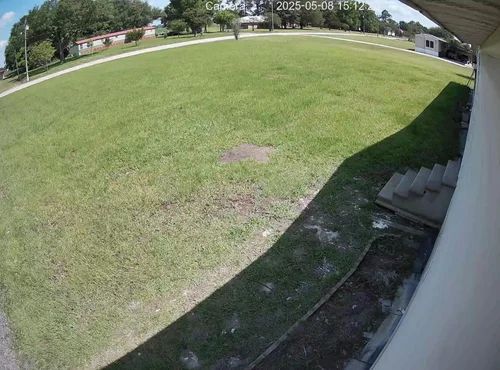Sunny grassy yard beside a house with steps and trees in the background