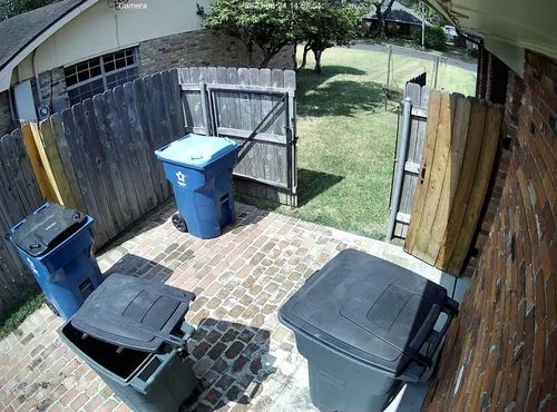 Backyard with open wooden gate, blue recycling bin, and trash bins on a brick patio