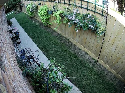 Narrow backyard with grass, stone path, wooden fence, and hanging flower baskets.