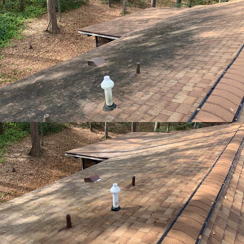 Shingle Roof Cleaning