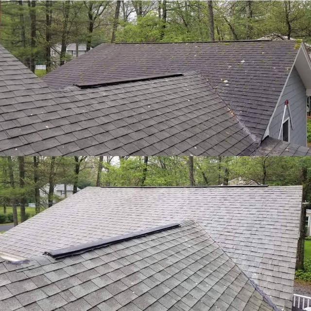 Roof Cleaning in Festus Roof Cleaning in Festus