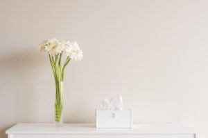 Spring Allergies — Amherst, OH — Energy 1 Heating & Air Conditioning