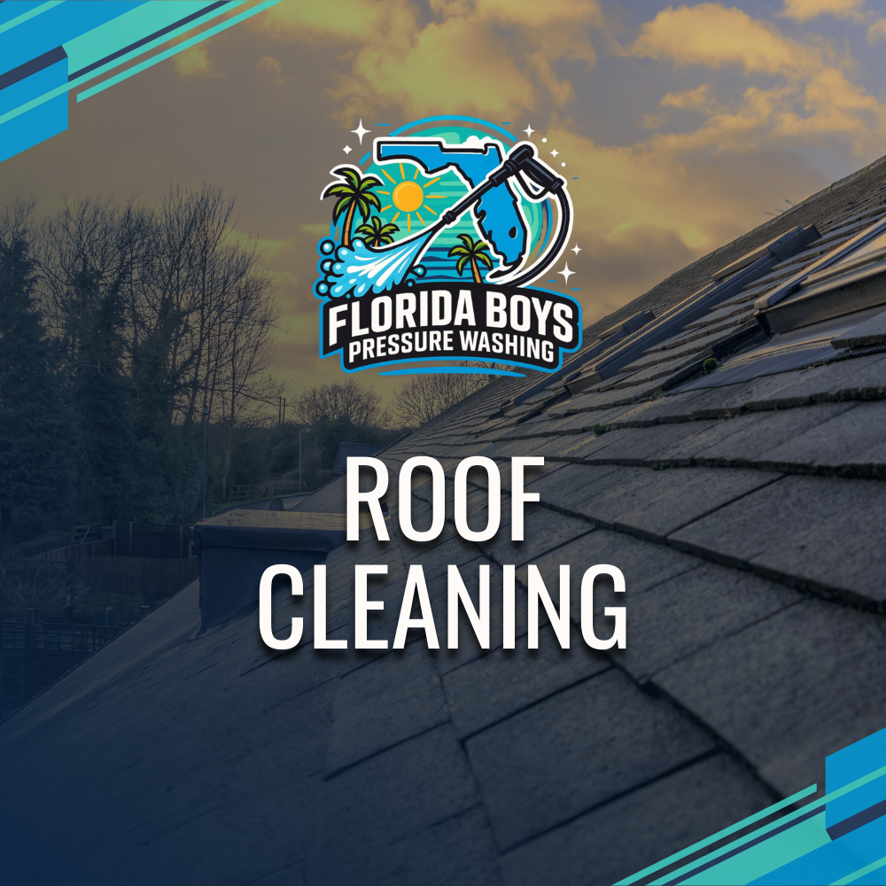 Roof cleaning service advertisement: logo with pressure washer, Florida map, palm trees, text