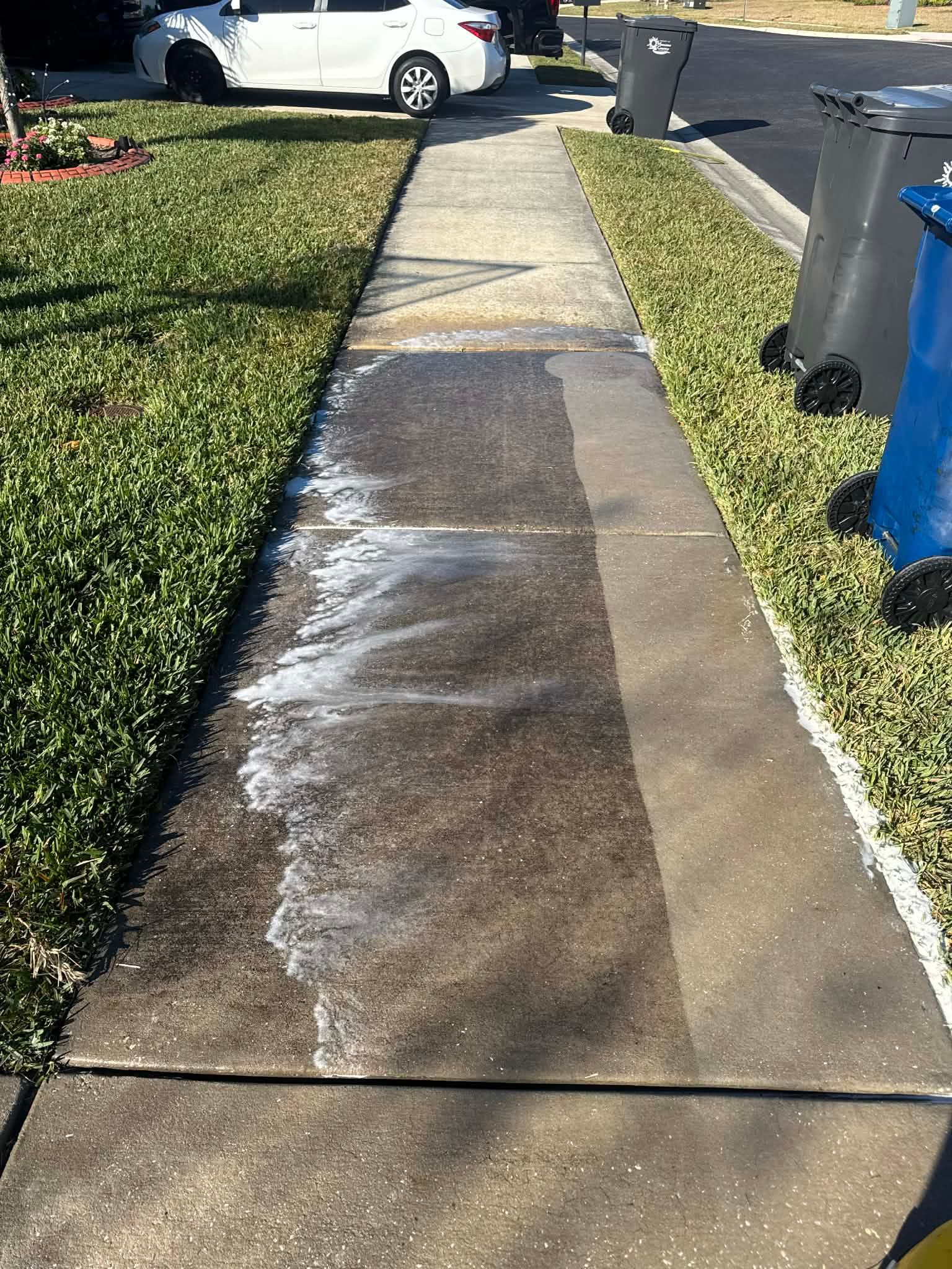 Wet concrete sidewalk beside a grassy lawn and trash bins in a residential driveway.