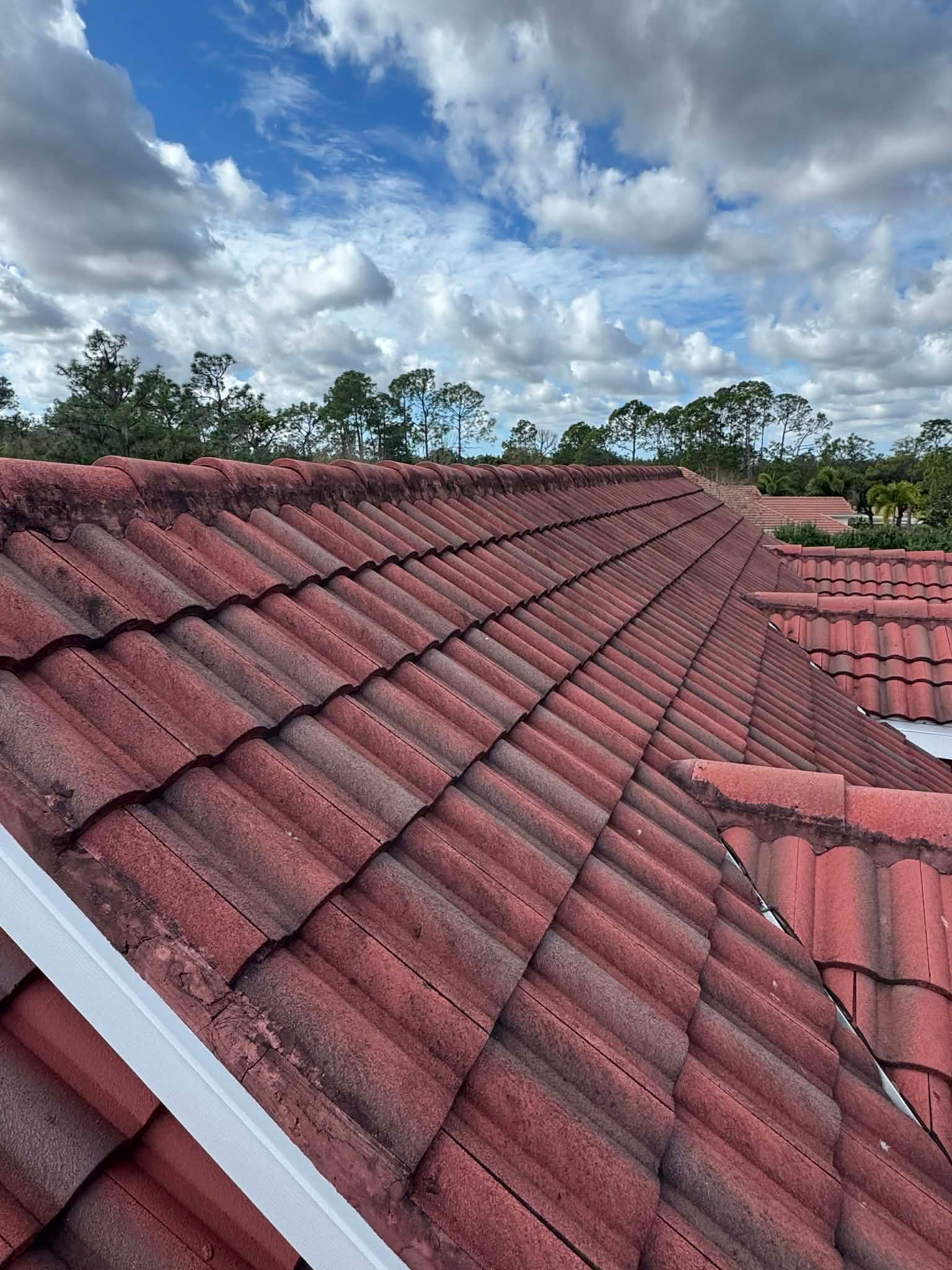 Red tiled roof under a cloudy blue sky, with trees and nearby rooftops in the background