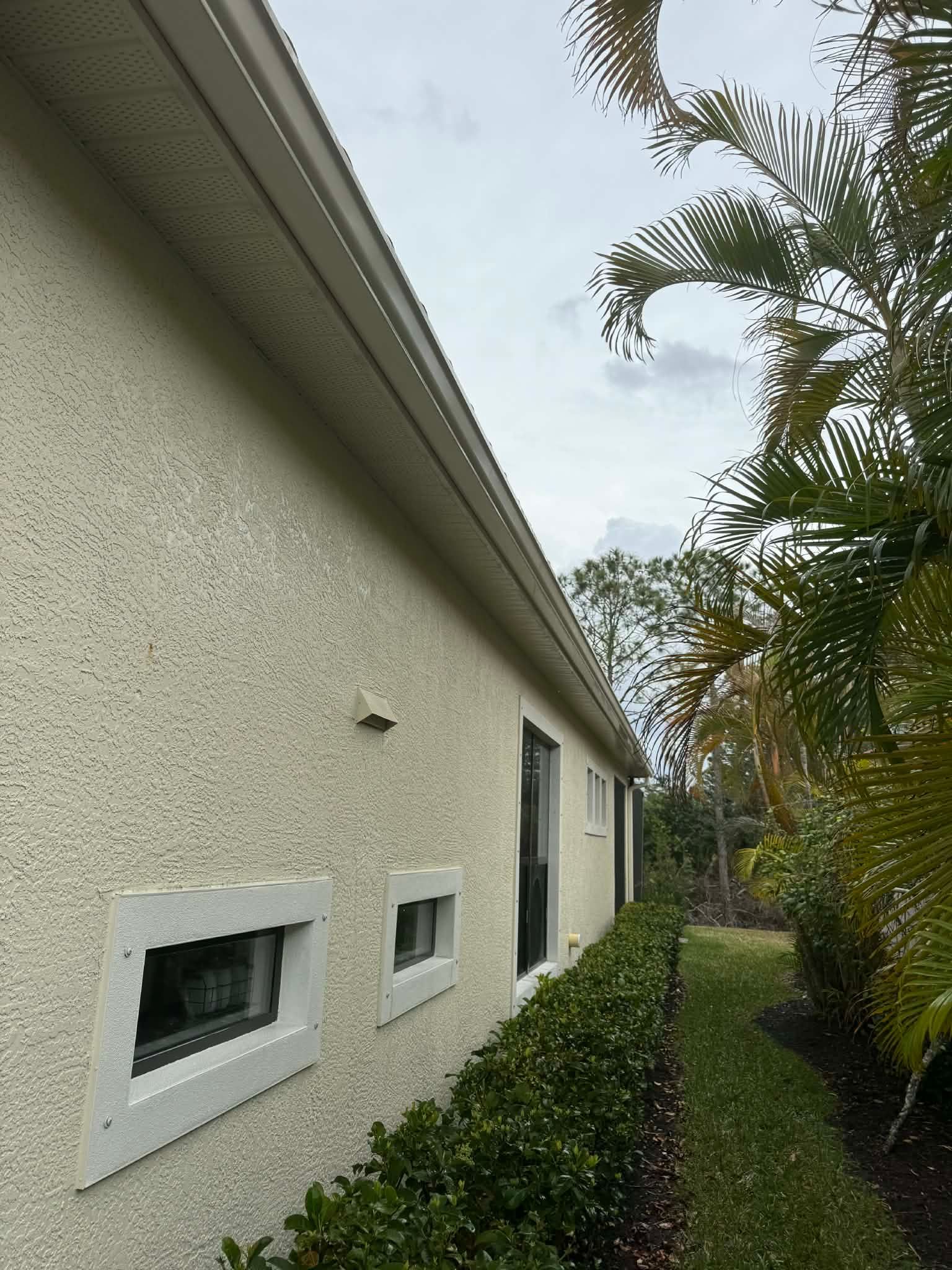 Side of a beige stucco house with small windows, hedges, and palm trees along a narrow yard