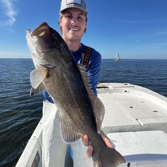 Person holding a large fish on a boat under a clear blue sky.