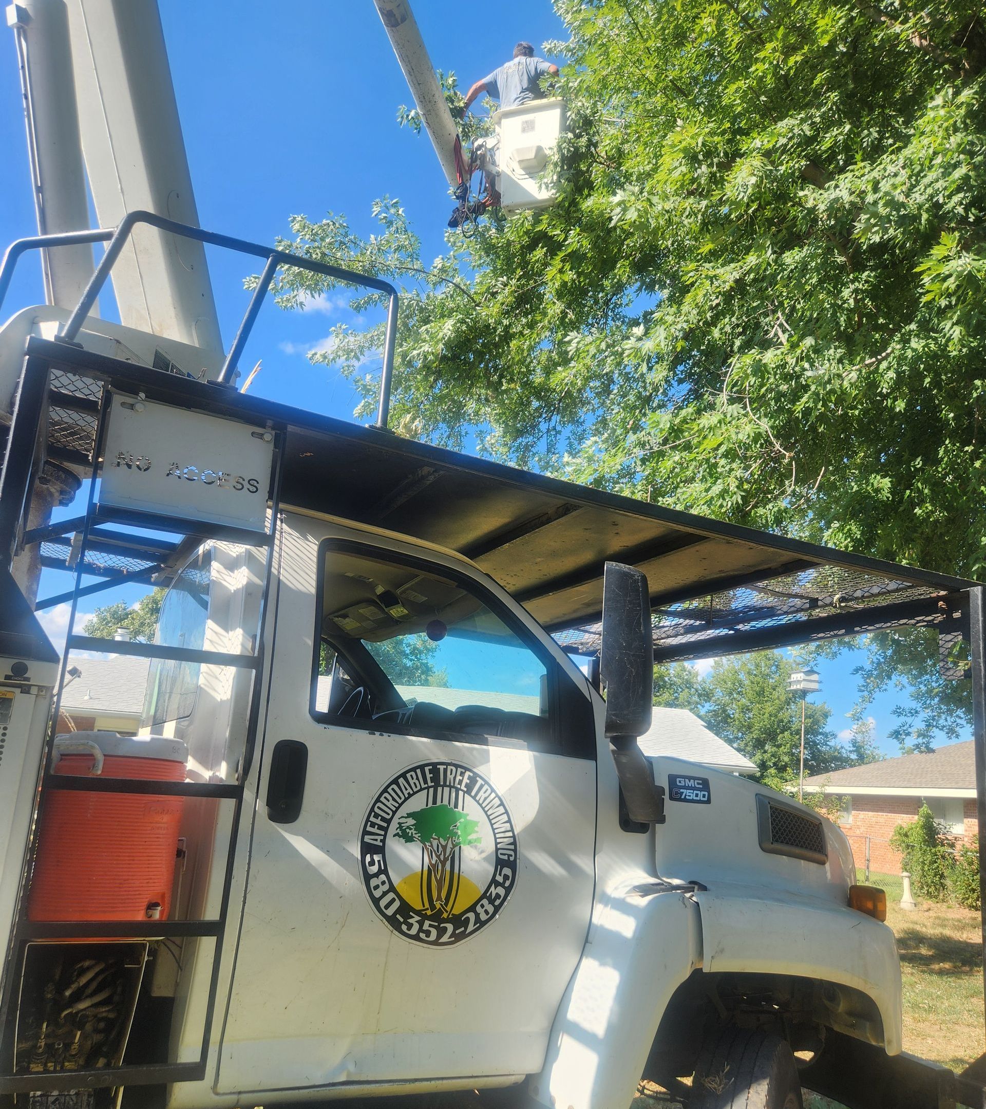 Affordable Tree Trimming service in Blackwell, Oklahoma