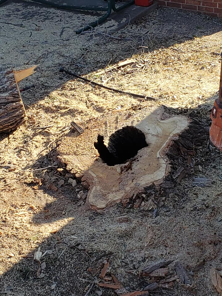stump grinding