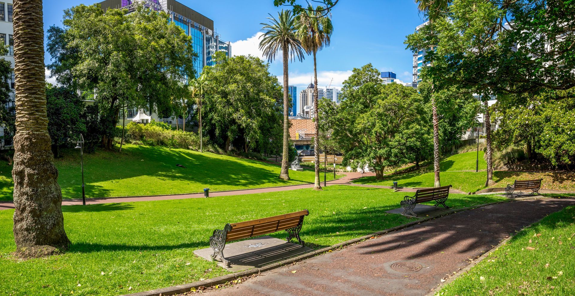 Sunny park with green lawn, trees, benches, and a paved path beside buildings and palm trees.