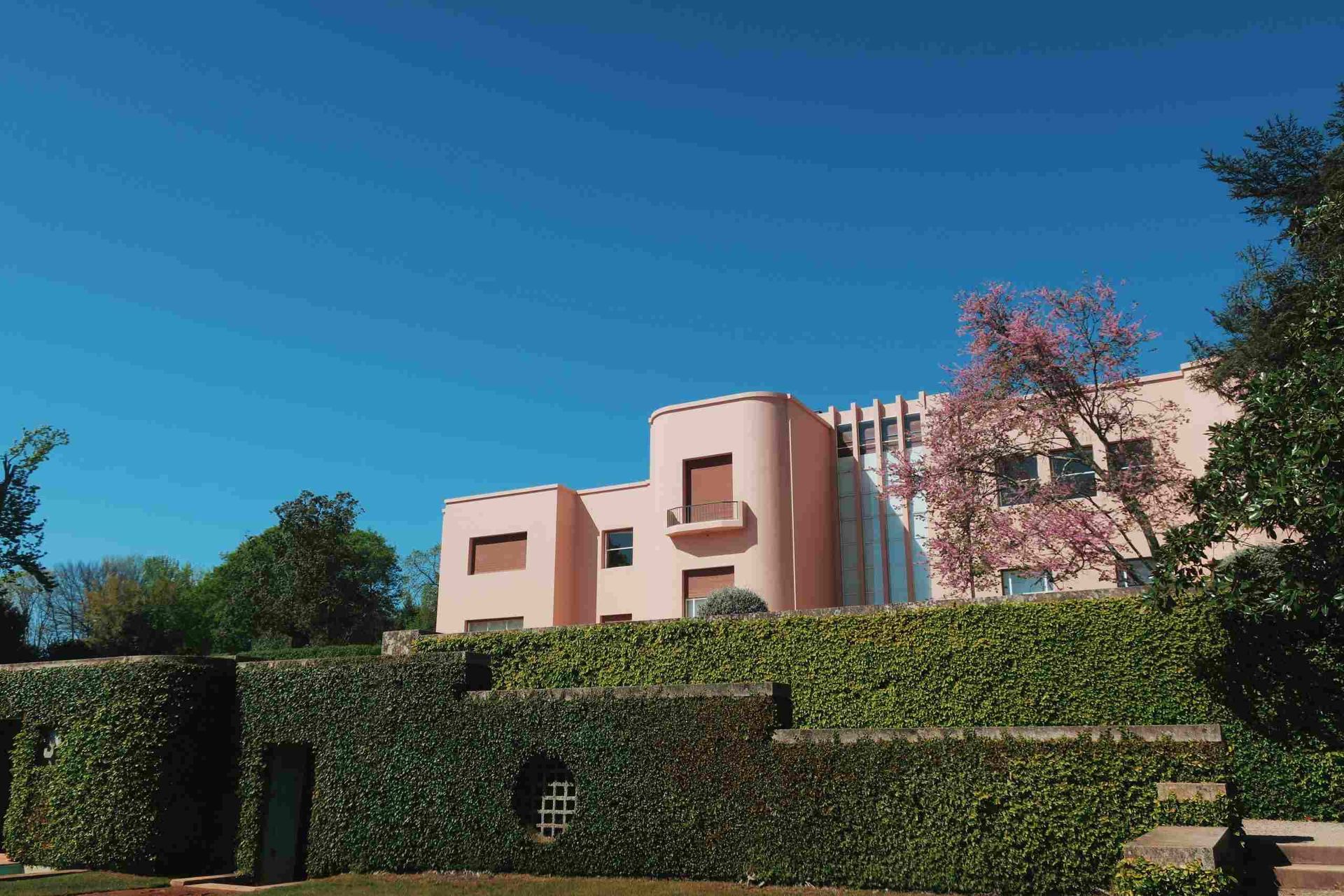 Pink modern building behind a green hedge under a bright blue sky