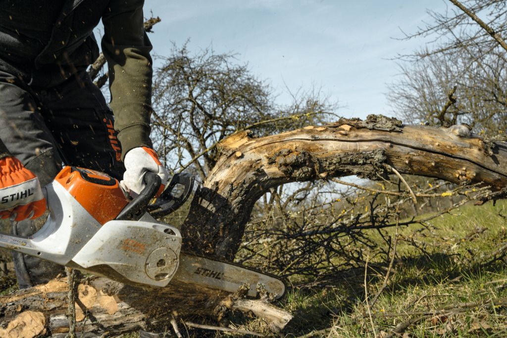 Tronçonneuse MSA 70C avec le système AK de STIHL - batterie - vendu chez Green Machine à Hannut