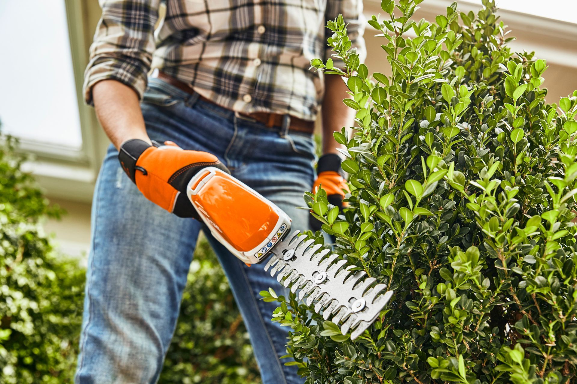 Jeune femme utilisant un taille-haie Stihl pour couper ses buissons