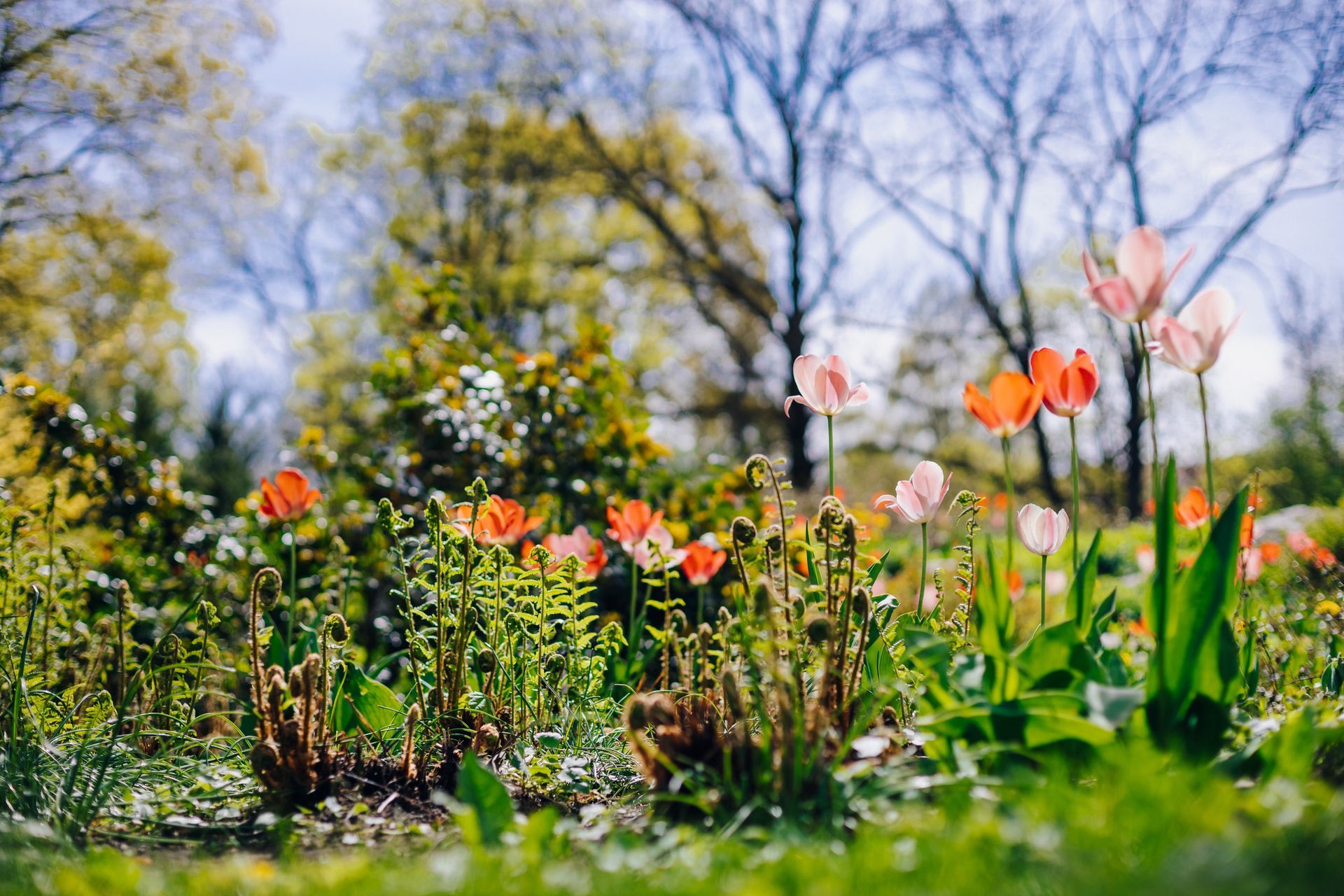 Comment entretenir son jardin en automne - Green Machine