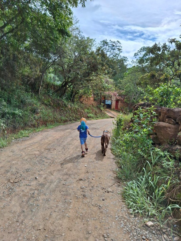 Niño paseando a su perro por un camino de tierra, con árboles a ambos lados y cielo nublado.