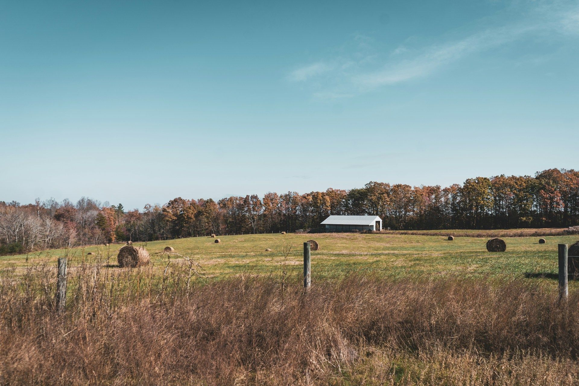 A field with hay bales and a barn under a blue sky, trees in the background.
