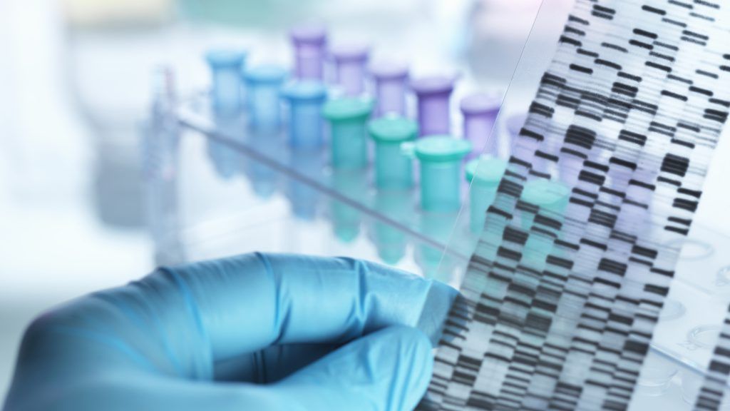 Reviewing the results of a DNA test in Northwest Arkansas