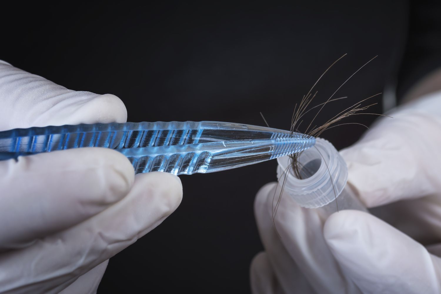 Collecting a hair sample for a drug test