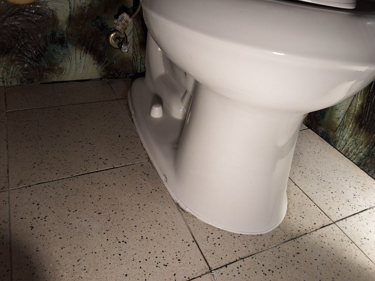 White toilet in a tiled bathroom corner, with a visible black cat peeking from behind it.