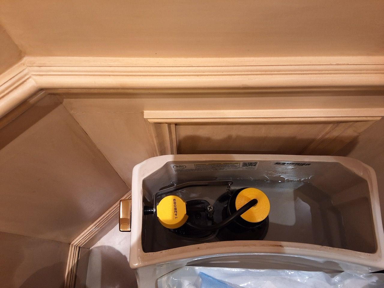 Two yellow circular objects inside a clear plastic container on a wooden shelf