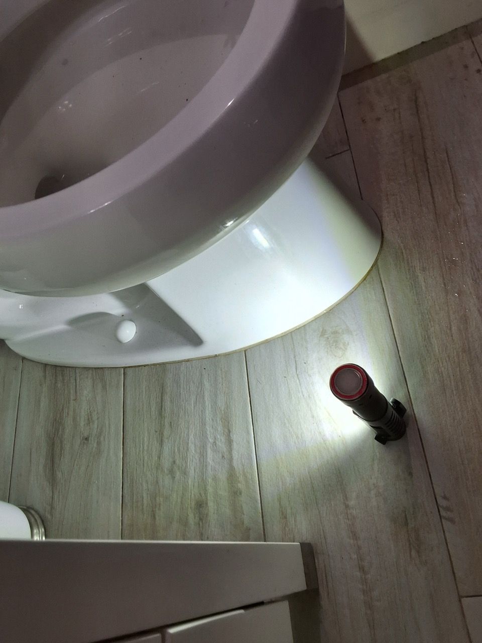 Flashlight illuminating a white toilet rim and wood floor in a dim bathroom.