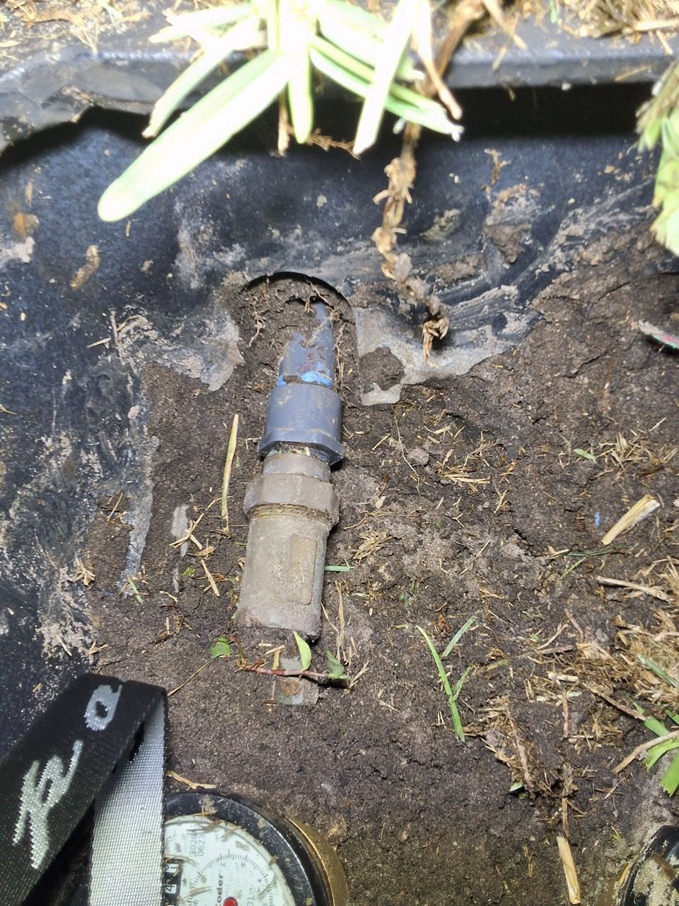 Broken sprinkler pipe emerging from muddy soil near a lawn edge.