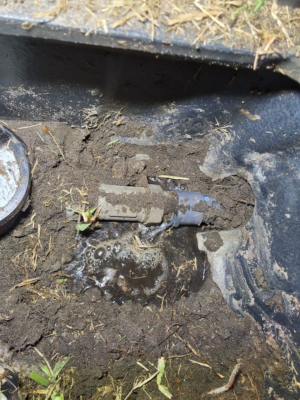 Close-up of muddy ground with a small lizard or gecko on a cracked concrete edge.