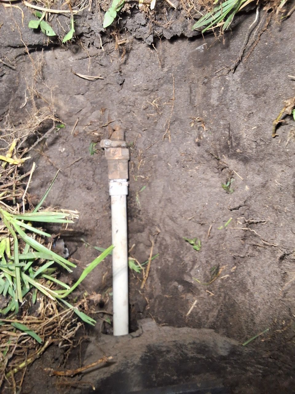 Underground white pipe exposed in a dirt trench with grass and roots along the edges