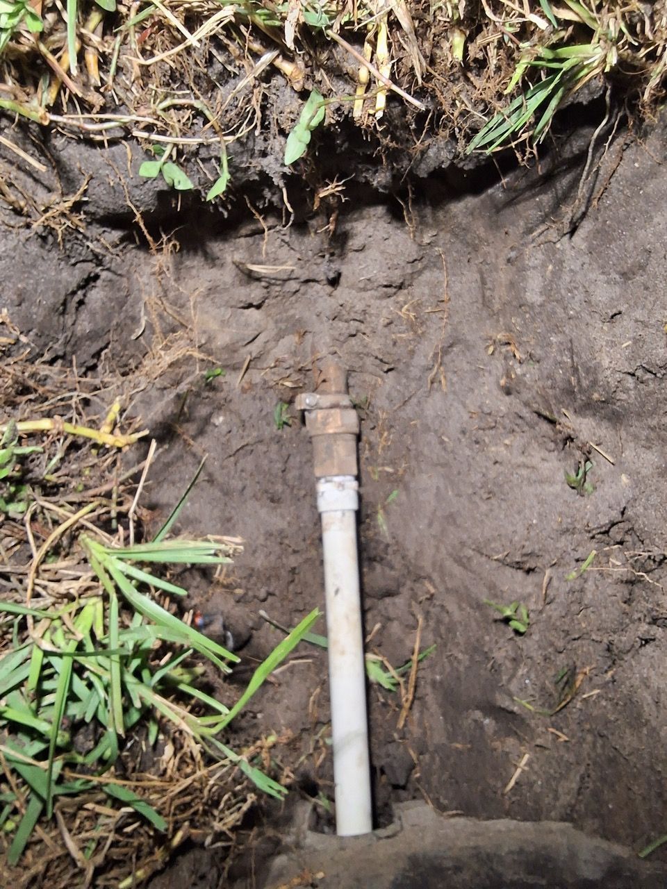 Small white pipe with a brass fitting emerging from a dirt patch outdoors