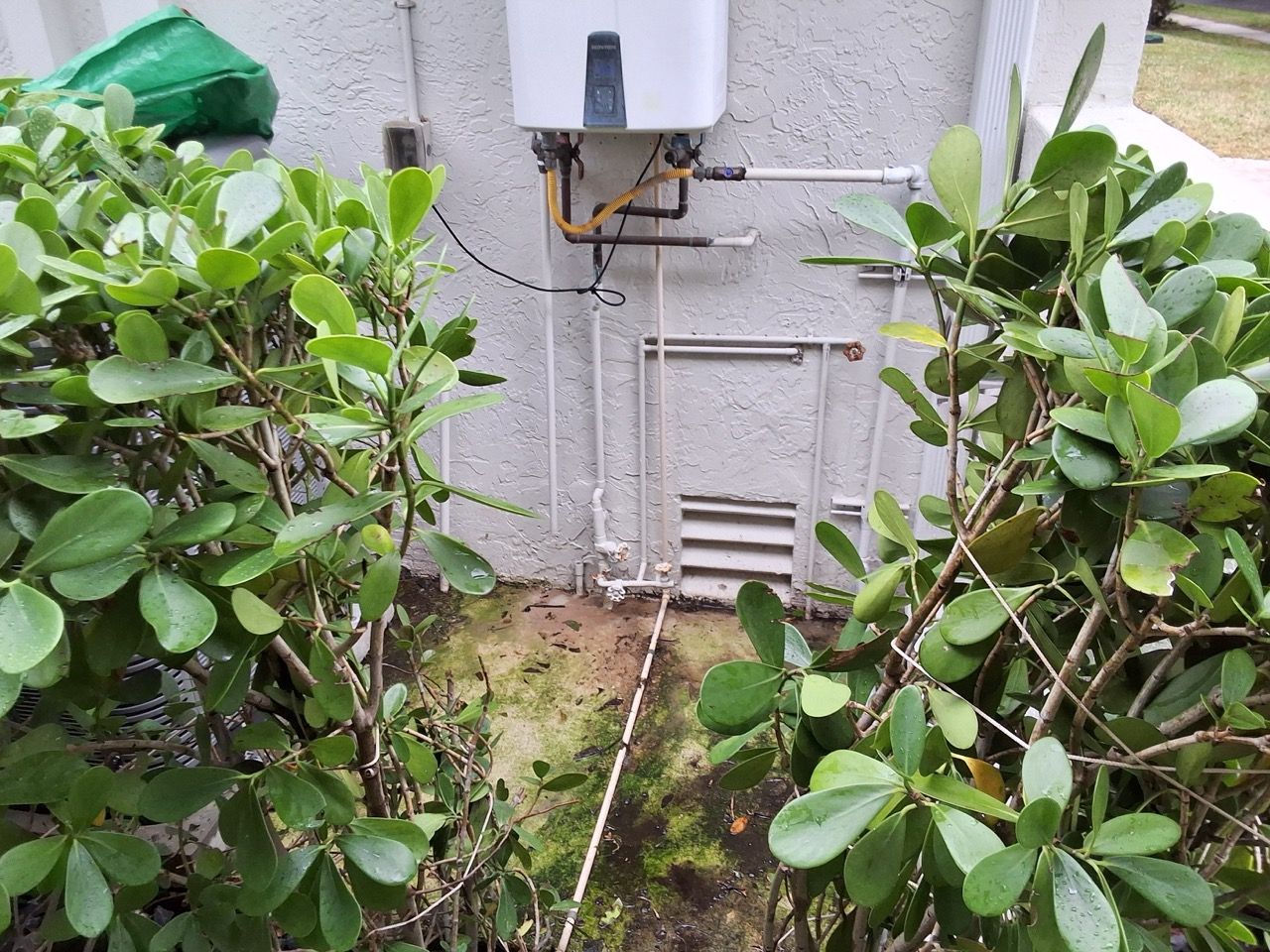 Narrow garden path beside dense green shrubs, leading to a wall-mounted utility box and pipes.