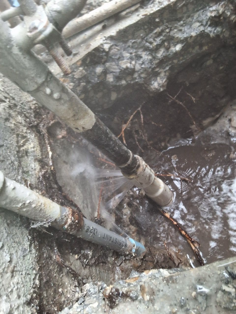 Leaking pipes over a muddy, water-filled trench with rubble and exposed roots