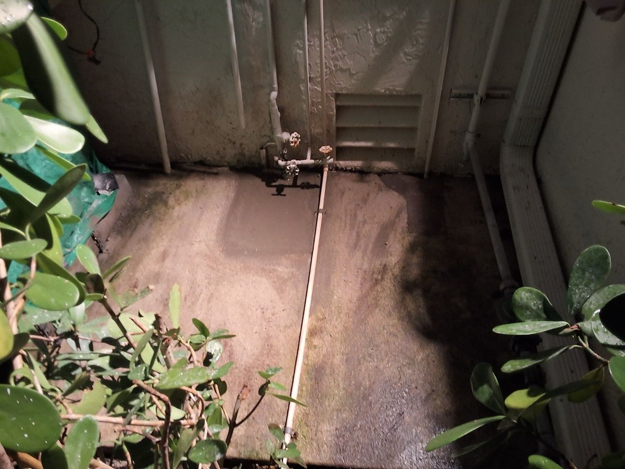 Empty concrete room with a small wall fixture, floor drain, and plants along the edges.
