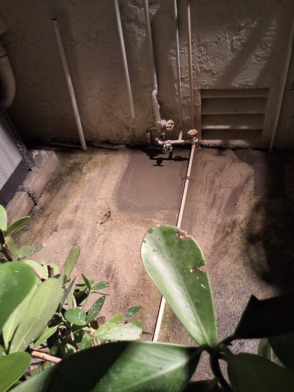 Small patio with concrete floor, wall vents, and green leaves in the foreground at dusk.