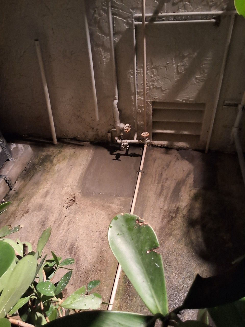 Indoor utility area with a metal pipe and valve on a concrete floor, near plants by a wall.