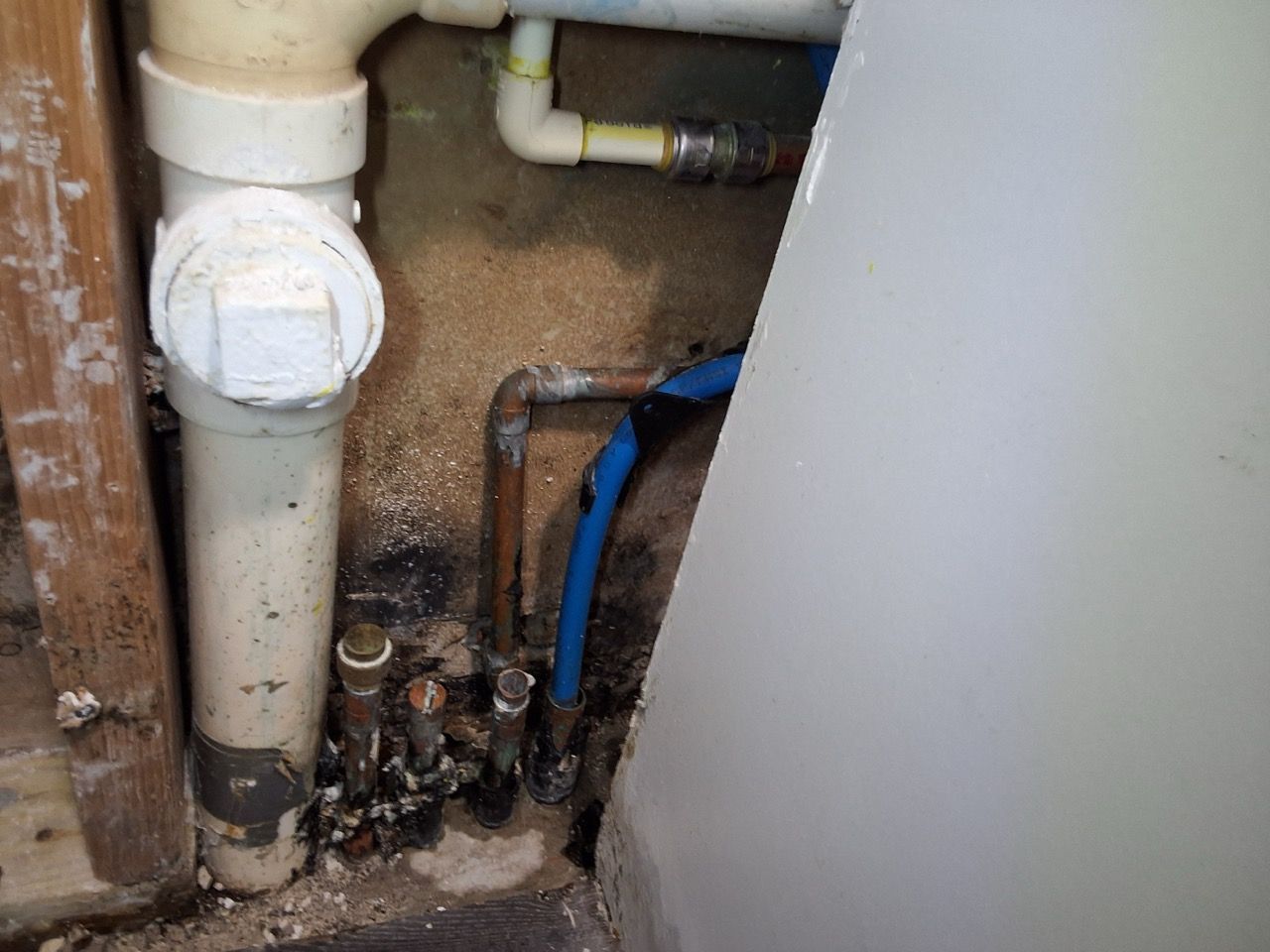 Plumbing pipes and valves along a basement wall, with a blue hose and damp, stained floor area