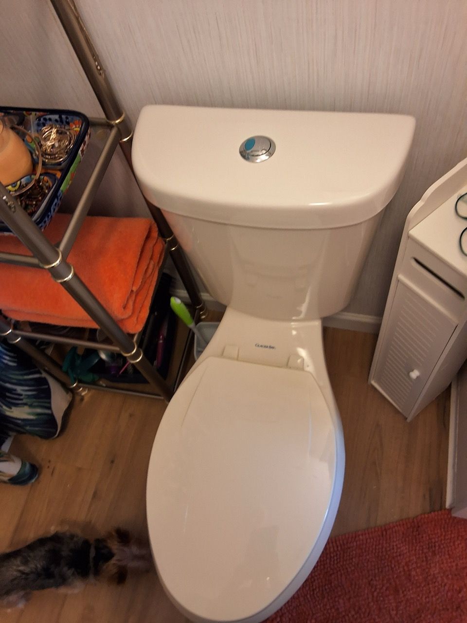 White toilet in a small bathroom with wood floor and shelving beside it.