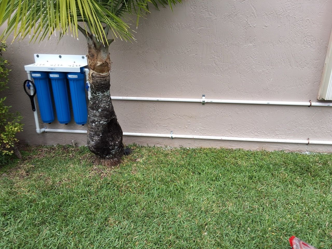Blue water filter unit mounted on a wall beside a palm tree and grass lawn