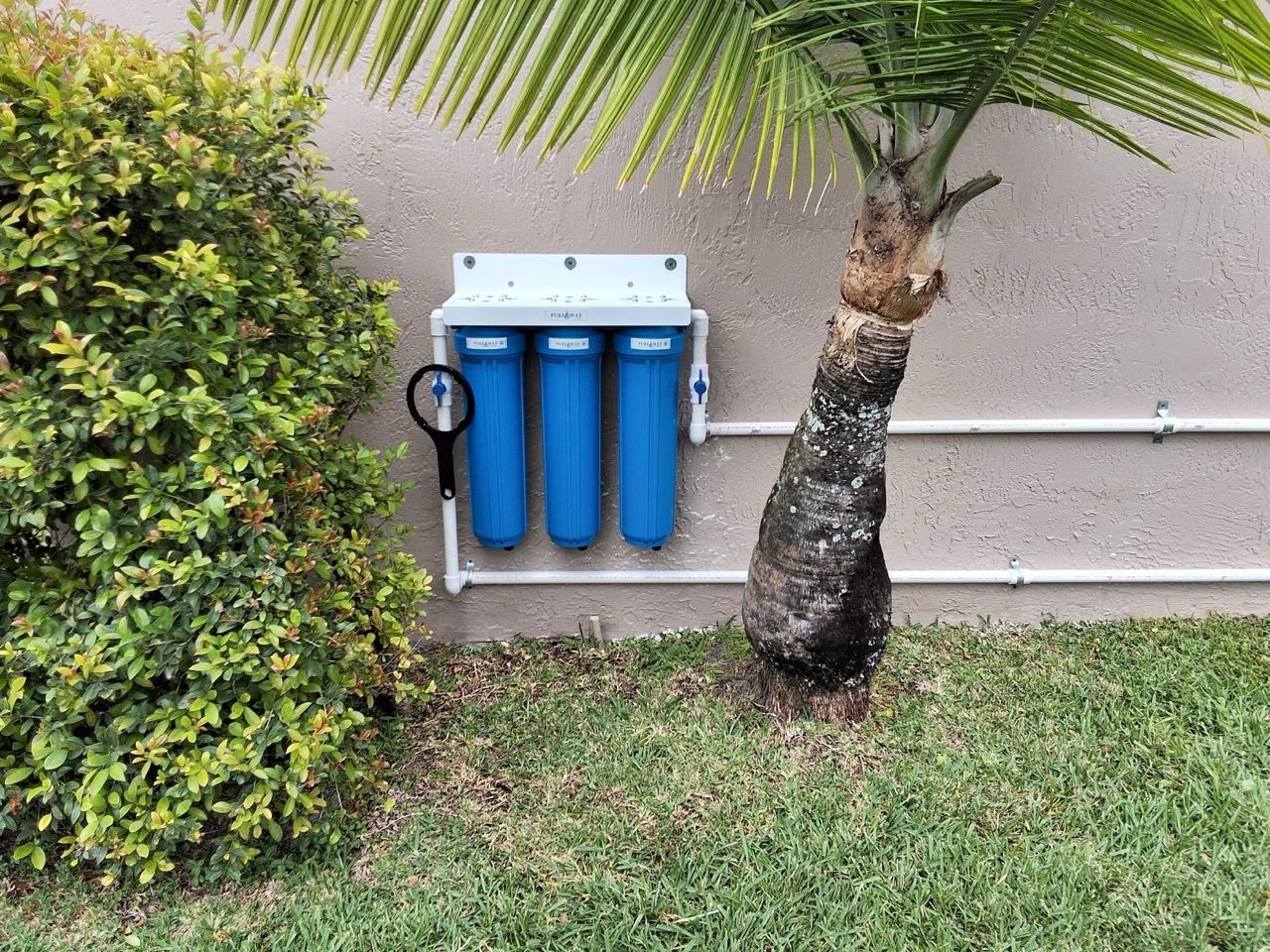 Wall-mounted water filtration unit with blue filters beside a palm tree and hedge in a yard