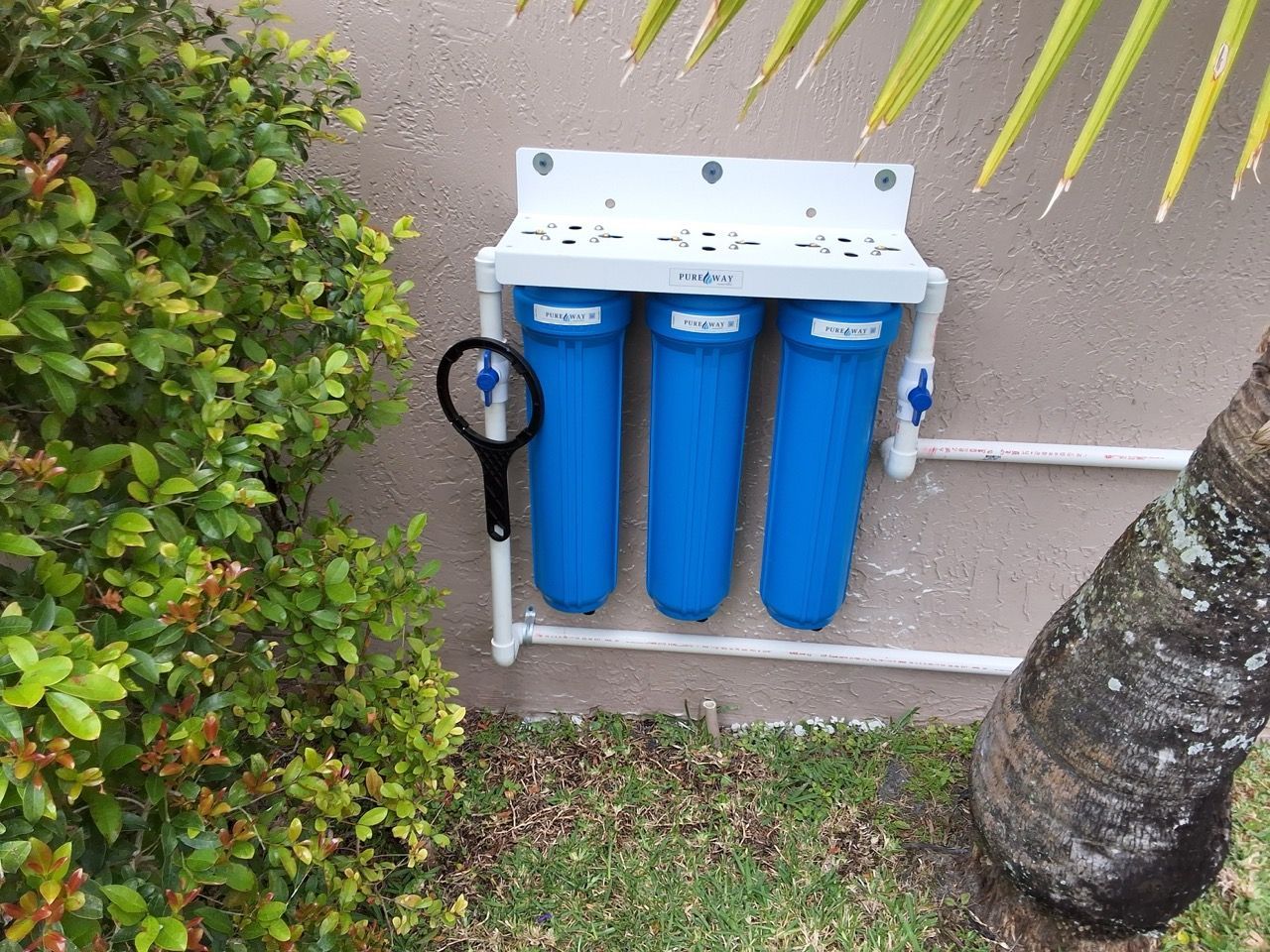 Three blue water filters mounted outdoors beside a bush and tree trunk