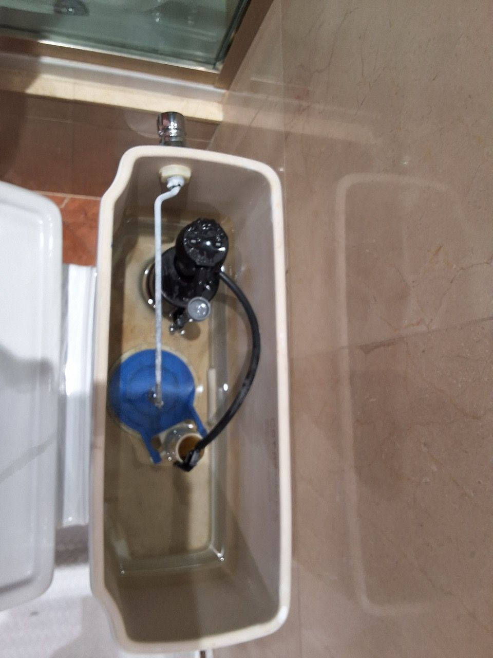 Toilet tank with blue valve and black float mechanism inside a white cistern.