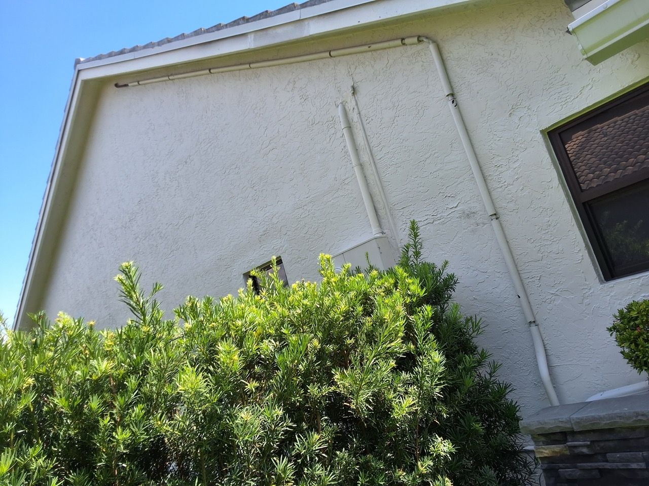 White stucco house wall with exposed utility pipes and a dense green shrub in front